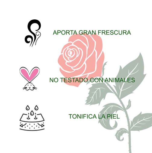 agua de rosas prop