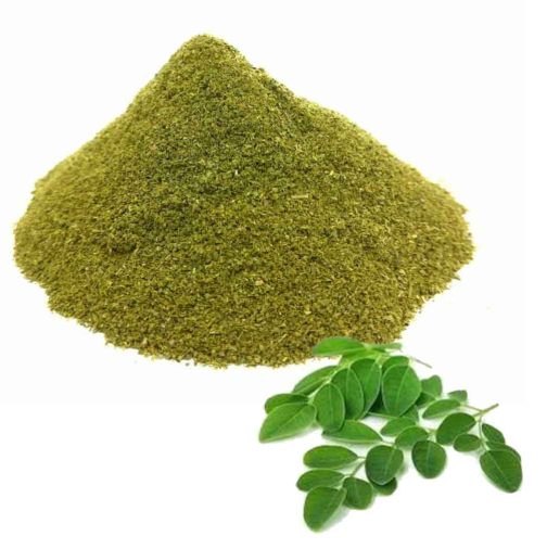 Moringa polvo