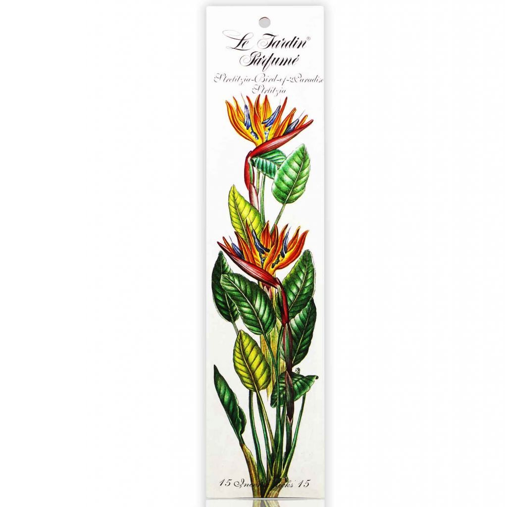 Strelitzia 1