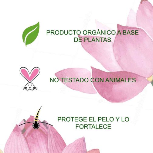 flor de loto PROP